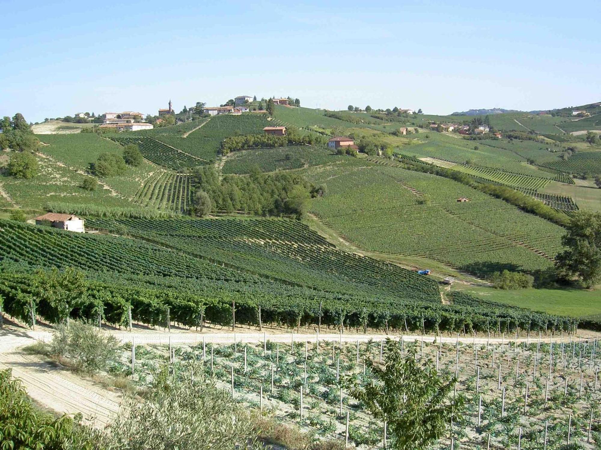Alloggio per agriturismo Vecchio Torchio